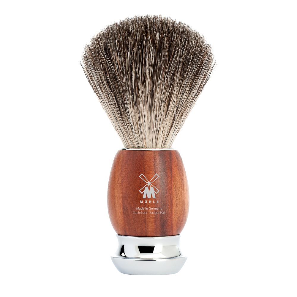 Shaving brush plum tree